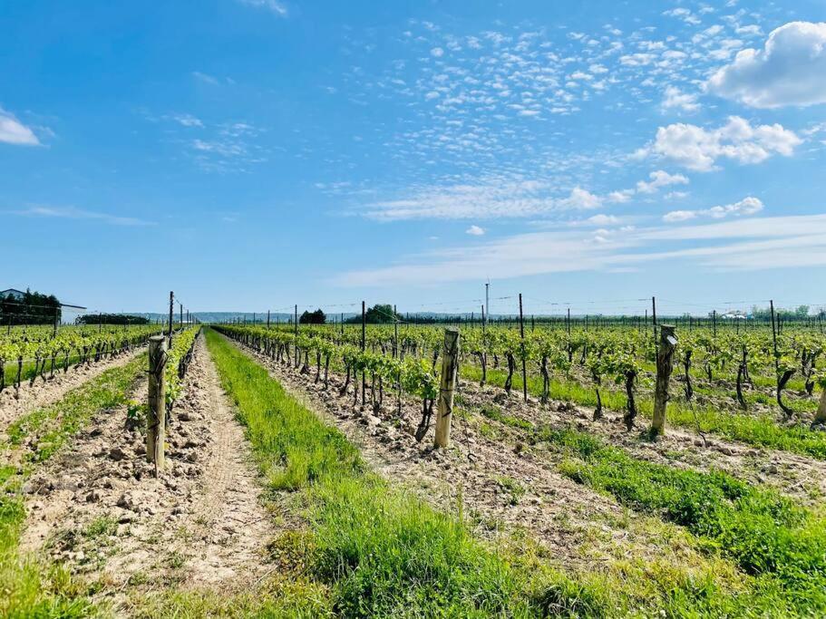 Waterfront Niagara-On-The-Lake Farmhouse On A Vineyard 빌라 외부 사진